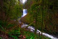 Middle North Falls View at Silver Falls State Park Royalty Free Stock Photo