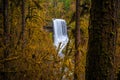 Middle North Falls View at Silver Falls State Park Royalty Free Stock Photo