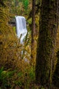 Middle North Falls View at Silver Falls State Park Royalty Free Stock Photo