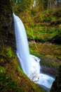 Middle North Falls View at Silver Falls State Park Royalty Free Stock Photo