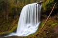 Middle North Falls View at Silver Falls State Park Royalty Free Stock Photo