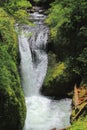 Middle Oneonta Falls, Columbia River Gorge near Portland, Oregon, Pacific Northwest, USA Royalty Free Stock Photo