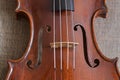 The middle part of a violin body with the f holes, the bridge and a part of the strings.