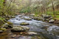 Middle Prong of the Little River, Great Smoky Mountains Royalty Free Stock Photo