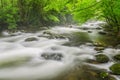 Middle Prong mist, Great Smoky Mountains Royalty Free Stock Photo