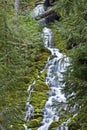 Middle Section of Upper Proxy Falls Central Oregon