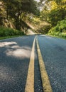 Middle of Skyline Drive with Shafts of LIght Muted Color