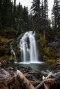 Middle Tumalo falls with logs Royalty Free Stock Photo