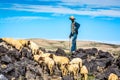 Midelt, Morocco - October 04, 2013. Sheep shepherd hunting sheep in mountains