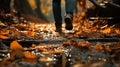 Midfoot lower section of woman walking through autumn leaves in forest. Concept of active lifestyle Royalty Free Stock Photo