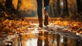 Midfoot lower section of woman walking through autumn leaves in forest. Concept of active lifestyle Royalty Free Stock Photo