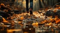 Midfoot lower section of woman walking through autumn leaves in forest. Concept of active lifestyle Royalty Free Stock Photo