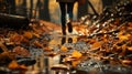 Midfoot lower section of woman walking through autumn leaves in forest. Concept of active lifestyle Royalty Free Stock Photo