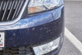 Midges insects on the bumper and hood of the car Royalty Free Stock Photo