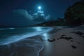 Midnight Beach Rendezvous secluded moonlit beach with waves gently lapping the shore, perfect for a romantic rendezvous under