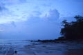 Midnight Blue Landscape - Sea, Sky, Silhouettes of Trees - Natural Background - Sitapur Beach, Neil Island, Andaman Nicobar, India