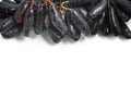 Midnight Long Black Grapes frame Royalty Free Stock Photo