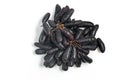 Midnight Long Black Grapes Royalty Free Stock Photo