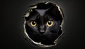 Midnight Watch: A Curious Black Cat Peeking Out of a Wall Hole. Generative AI Royalty Free Stock Photo