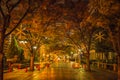 Midosuji street with night light illumination Royalty Free Stock Photo