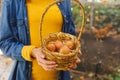 Midsection of asian boy holding basket, collecting eggs from hen house in garden