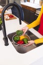 Midsection of biracial lesbian couple chopping and washing vegetables in kitchen, copy space Royalty Free Stock Photo