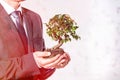 Midsection of businessman holding plant against white wall at office