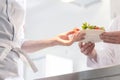 Midsection of chef giving salad plate to waiter in kitchen at restaurant