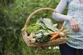 Midsection Of Cropped Woman With Vegetable Basket