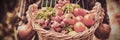 Midsection of farmer holding basket of vegetables while standing Royalty Free Stock Photo