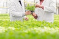 Midsection of male botanists discussing over seedling while standing in plant nursery