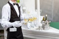 Midsection of professional waiter in uniform serving wine during buffet catering party, festive event or wedding. Full Royalty Free Stock Photo