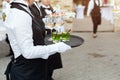 Midsection of professional waiters in uniform serving wine, cocktails and snacks during buffet catering party, festive Royalty Free Stock Photo