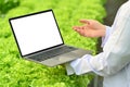 Midsection of scientist holding laptop with blank screen, standing among vegetable in industrial greenhouse