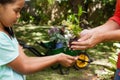 Midsection of senior woman giving seedling to granddaughter