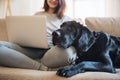 A midsection of teenage girl with a dog sitting on a sofa indoors, working on a laptop.