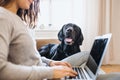 A midsection of teenage girl with a dog sitting on a sofa indoors, working on a laptop. Royalty Free Stock Photo