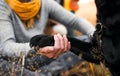 A midsection view of a man holding dog`s paw in nature.