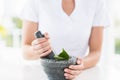 Midsection of woman holding mortar and pestle