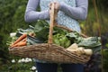 Midsection Of Woman With Vegetable Basket Royalty Free Stock Photo