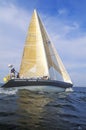 Midshipmen from the U.S. Naval Academy practice sailing skills in Chesapeake Bay, near Annapolis, Maryland Royalty Free Stock Photo