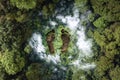 In the midst of a lush forest, there exists a pair of footprints Royalty Free Stock Photo