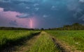 Lightning strike in the field with green grass and dark stormy sky Royalty Free Stock Photo