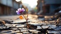 Resilient Small Flower Grows Through Cracked Street