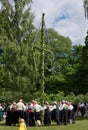 Midsummer celebrations Royalty Free Stock Photo