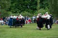 Midsummer celebrations Royalty Free Stock Photo