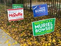 Midterm Election Campaign Posters and Leaves