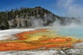 Colorful Algae at Excelsior Geyser at Midway Geyser Basin, Yellowstone National Park, Wyoming