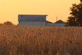 Midwest Farm at Sunset with Crop Highlights Royalty Free Stock Photo