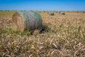 Midwest Farming Royalty Free Stock Photo